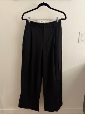 Zara Pleated Pants
